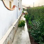 Dino