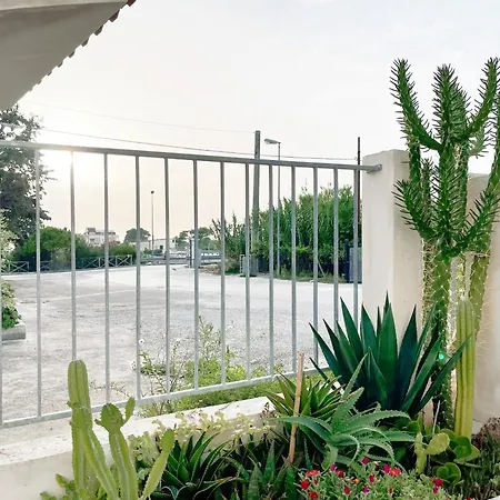 Dino Hébergement de vacances