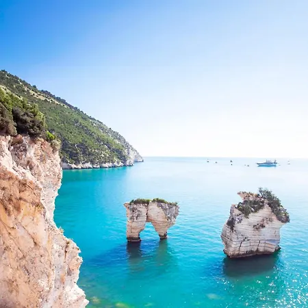 Dino Hébergement de vacances *